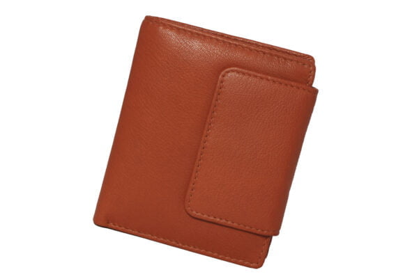 Brown Men Wallet