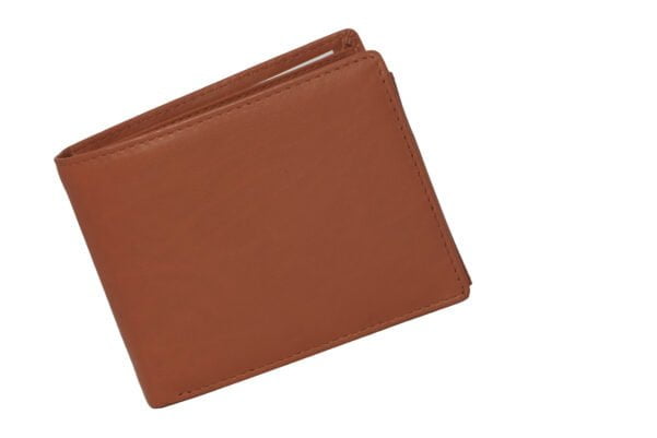 Brown Men Wallet