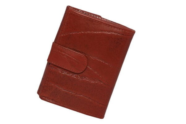 Tan Men Wallet
