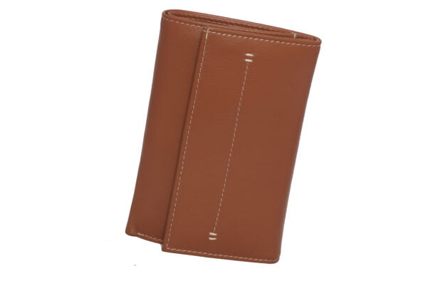 Tan Women Wallet