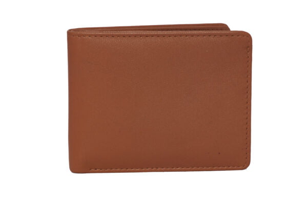 Brown Men Wallet