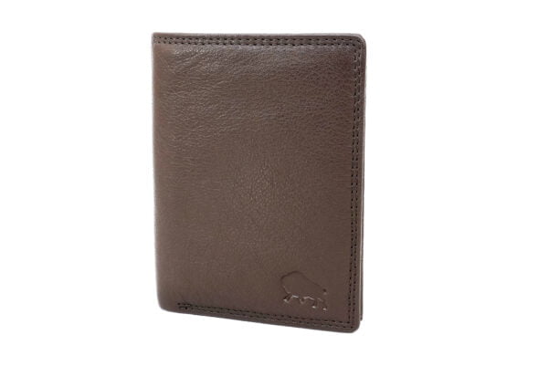 Brown Men Wallet